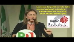 Intervista a radio radicale