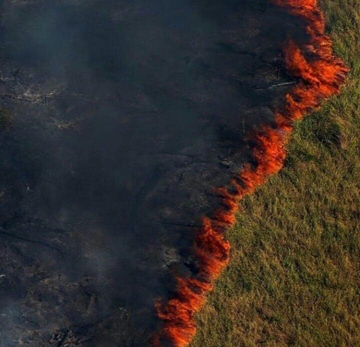 L'Amazzonia brucia: dobbiamo fare qualcosa